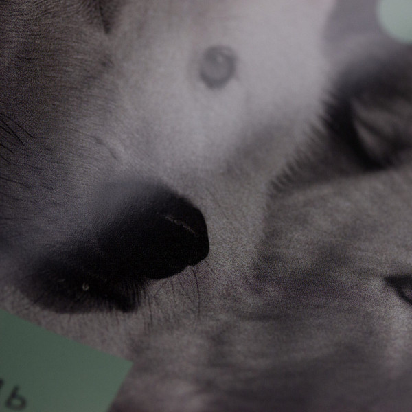 Изображение товара Тетрадь предметная Listoff Эрудиция. Биология / ТТК249365