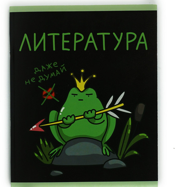 Изображение товара Тетрадь предметная Listoff Жабка. Литература / ТТ2Л489375