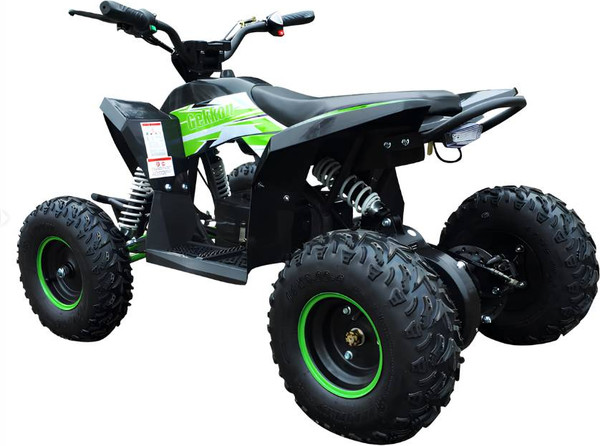 Изображение товара Электроквадроцикл Motax Gekkon E1300 (черный/черный/зеленый)