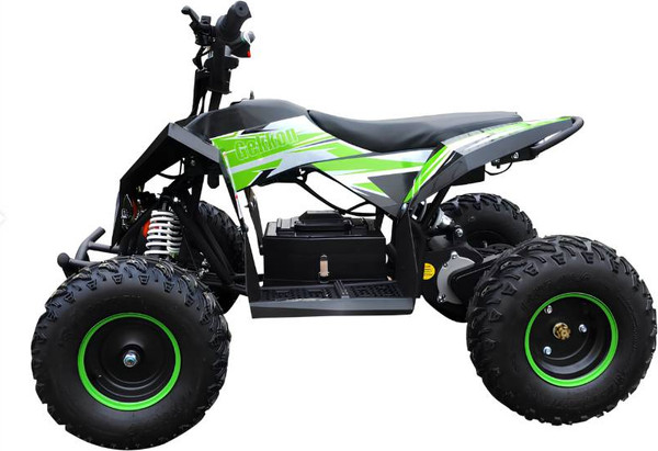 Изображение товара Электроквадроцикл Motax Gekkon E1300 (черный/черный/зеленый)
