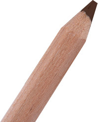 Изображение товара Набор цветных карандашей Малевичъ GrafArt Soft / 193145 (6шт, коричневый средний 045)