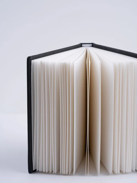 Изображение товара Скетчбук Малевичъ GrafArt White / 401276 (40л, черный)