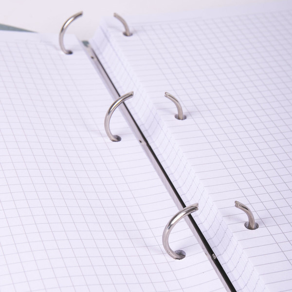 Изображение товара Тетрадь Brauberg 404508 (120л, зеленый)