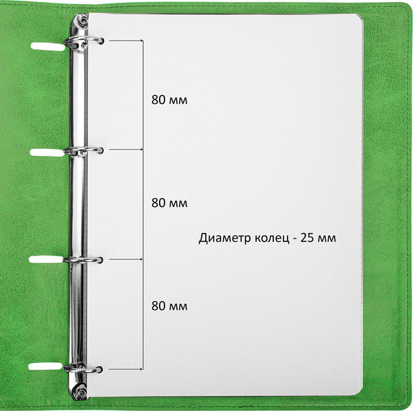 Изображение товара Тетрадь Brauberg 404508 (120л, зеленый)