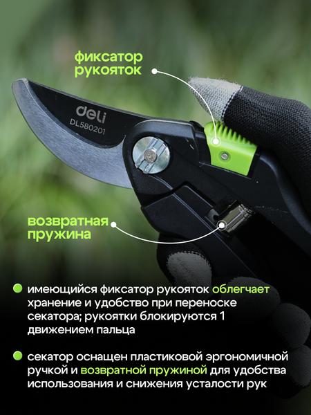 Изображение товара Секатор механический Deli EDL580201 (черный/зеленый)