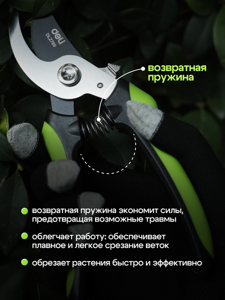 Изображение товара Секатор механический Deli EDL2789 (черный/зеленый)
