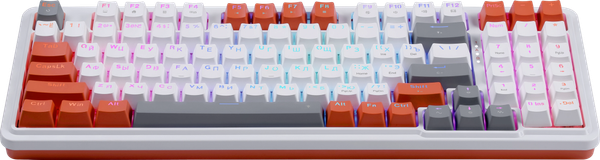 Изображение товара Клавиатура Redragon Gloria / 72216