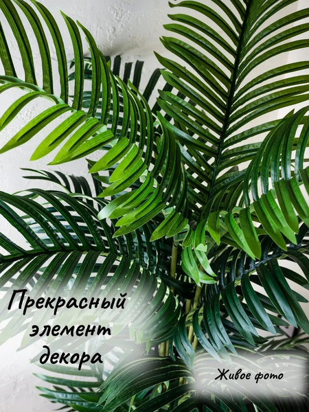 Изображение товара Искусственное растение Merry Bear Home Decor Пальма Ропалостилис Элит / A144165 (165см)