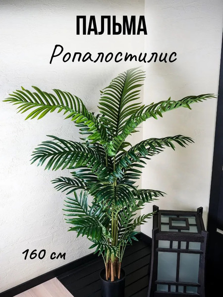 Изображение товара Искусственное растение Merry Bear Home Decor Пальма Ропалостилис Элит / A144165 (165см)