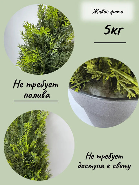 Изображение товара Искусственное растение Merry Bear Home Decor Туя Западная Смарагд / KA0029-120 (120см)