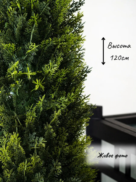 Изображение товара Искусственное растение Merry Bear Home Decor Туя Западная Смарагд / KA0029-120 (120см)