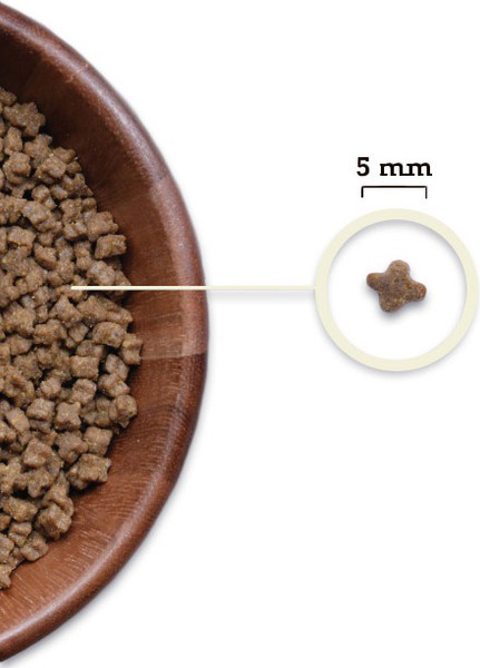 Изображение товара Сухой корм для кошек Acana Kitten птица и рыба / 2229 (1.8кг)