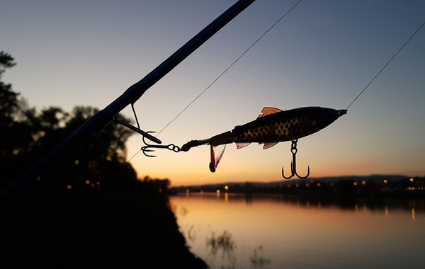 Изображение товара Воблер Savage Gear 3D Smash Tail 10см 17г F Rudd / 61994