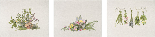 Изображение товара Набор полотенец Pole Kvetak (Беларускі лён) 46х60 24С112-ШР/рп/фкор/к. (32 Целебные травы-3/сорт1)