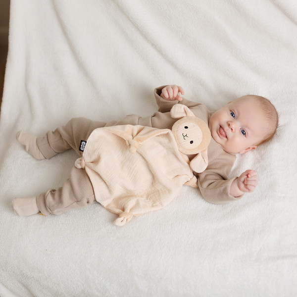 Изображение товара Мягкая игрушка Мякиши Овечка Берта / 914