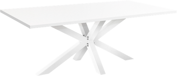 Изображение товара Обеденный стол Millwood Кейптаун 220x110x75 (белый/белый)