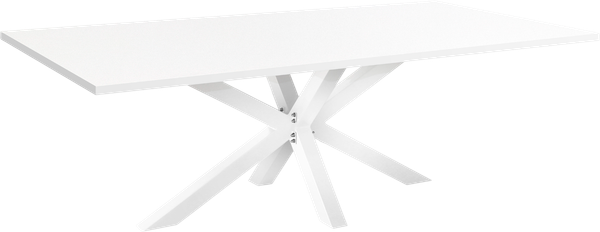 Изображение товара Обеденный стол Millwood Кейптаун 250x120x75 (белый/белый)