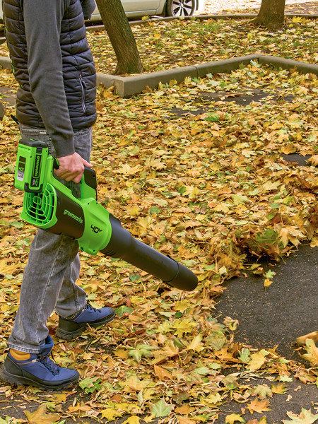 Изображение товара Воздуходувка аккумуляторная Greenworks GD40BG3 / 2408207UB