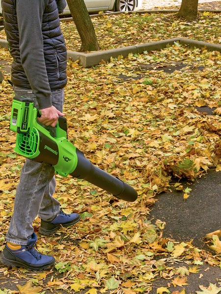Изображение товара Воздуходувка аккумуляторная Greenworks GD40BG3 / 2408207UB