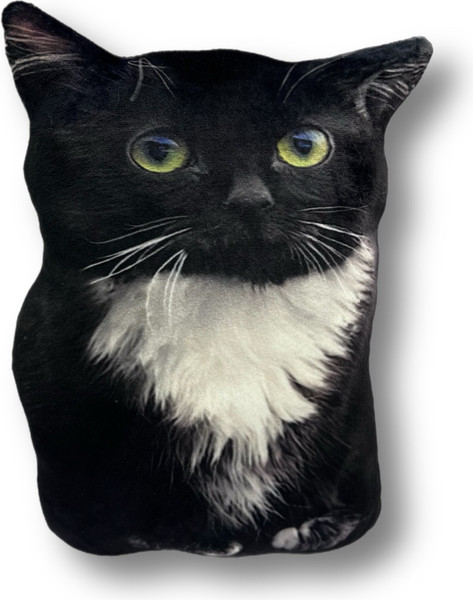 Изображение товара Подушка-игрушка Malvina Кот Чмоня мини / 9.439.2