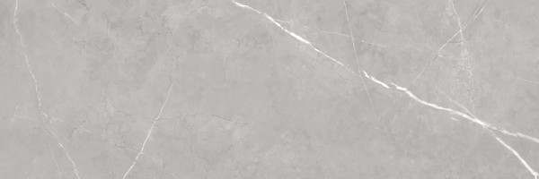 Изображение товара Плитка NewTrend Rockstyle Gray WT93ROK15 (300x900)