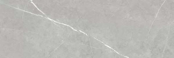 Изображение товара Плитка NewTrend Rockstyle Gray WT93ROK15 (300x900)