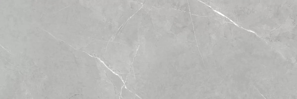 Изображение товара Плитка NewTrend Rockstyle Gray WT93ROK15 (300x900)