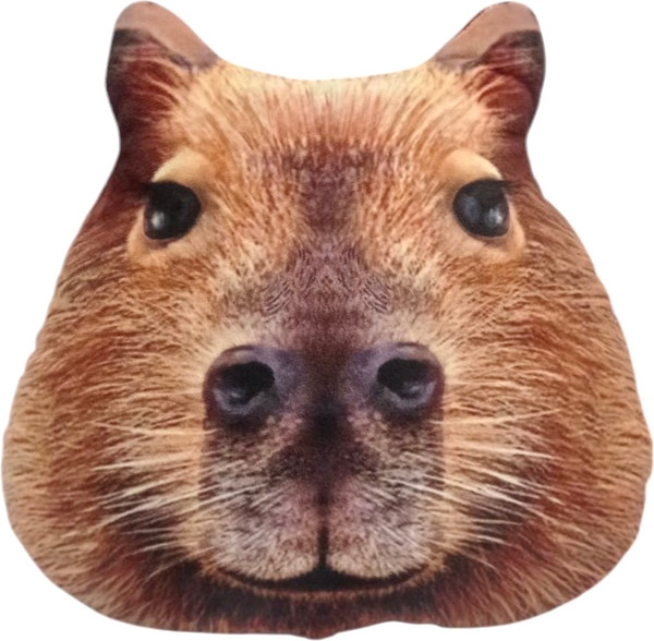 Изображение товара Подушка-игрушка Malvina Мордочка Капибара / 30.172.1