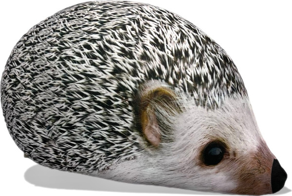 Изображение товара Мягкая игрушка Malvina Ежик / 211.1.1