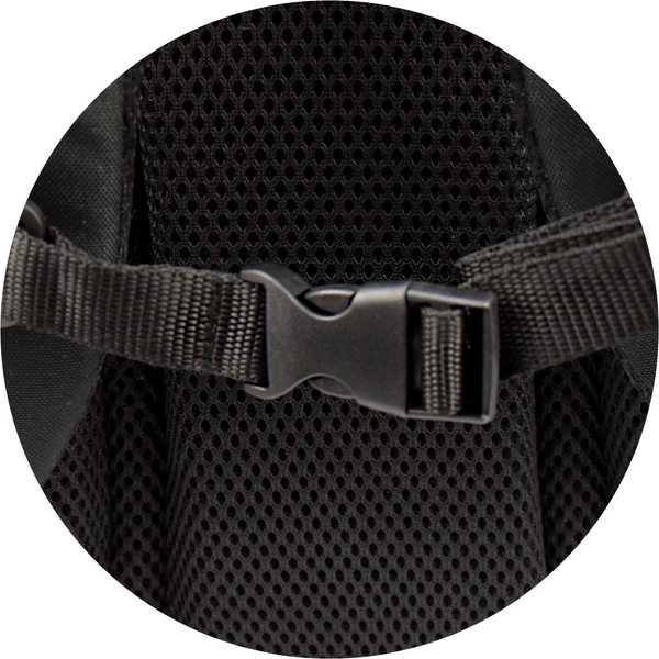 Изображение товара Школьный рюкзак Феникс+ Три кота / 68245