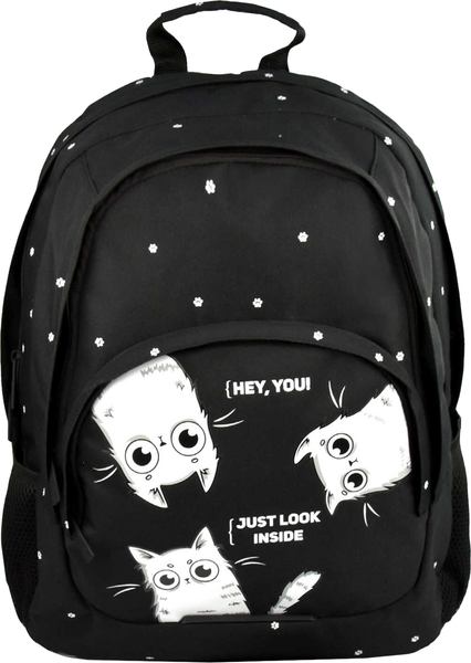 Изображение товара Школьный рюкзак Феникс+ Три кота / 68245