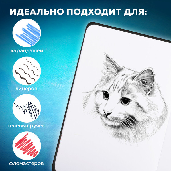 Изображение товара Скетчбук Brauberg Art Classic / 116461 (80л, черный)