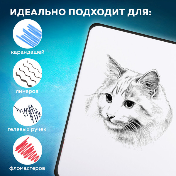 Изображение товара Скетчбук Brauberg Art Classic / 116463 (80л, черный)