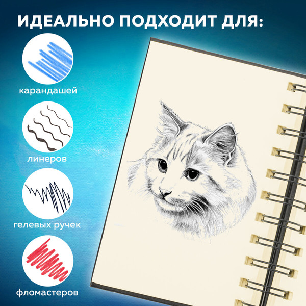 Изображение товара Скетчбук Brauberg Art Classic / 116475 (80л, черный)