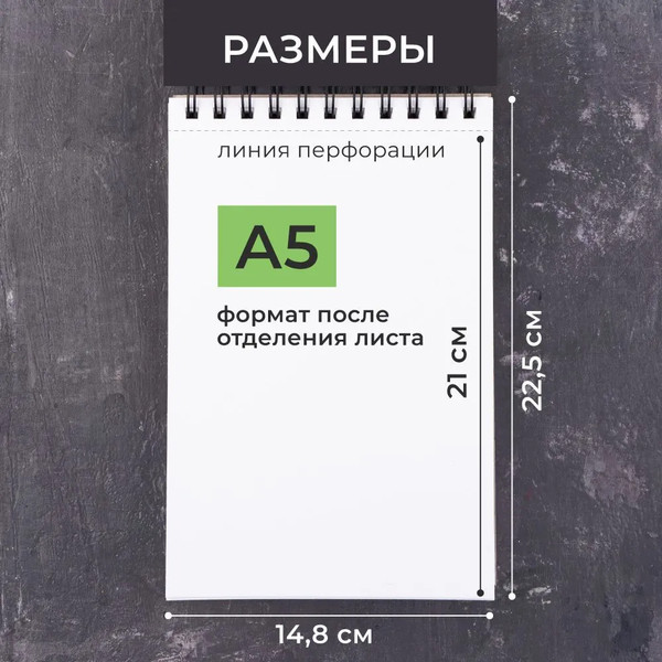 Изображение товара Скетчбук Малевичъ GrafArt Sketch / 401265 (120л)