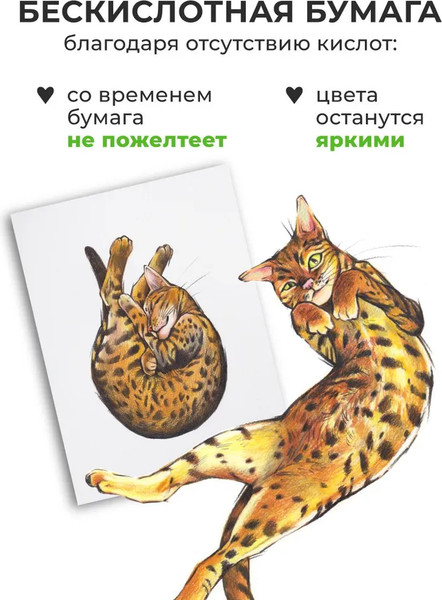 Изображение товара Скетчбук Малевичъ GrafArt White / 401282 (50л, серый)