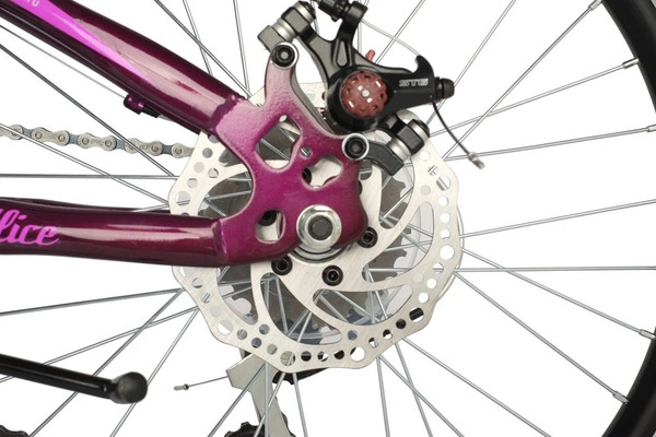 Изображение товара Детский велосипед Novatrack Alice / 20SH6D.ALICE.PR21 (разобранный, в коробке)