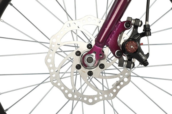 Изображение товара Детский велосипед Novatrack Alice / 20SH6D.ALICE.PR21 (разобранный, в коробке)