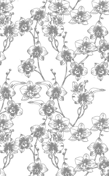 Изображение товара Книга FreeDom Узы магии. Дуэль с лордом вампиров, твердая обложка (Кова Элис)