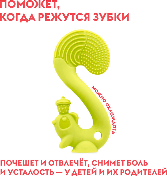 Изображение товара Прорезыватель для зубов Mombella Белка / 8061 (зеленый)