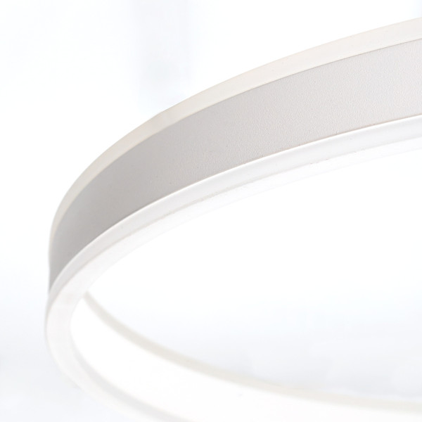 Изображение товара Потолочный светильник Citilux Дуэт CL719760