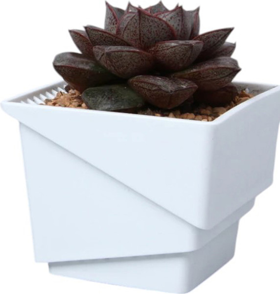 Изображение товара Кашпо BOTANICA Air для кактусов и суккулентов (7.35x6.5см, белый)