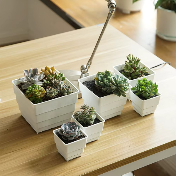 Изображение товара Кашпо BOTANICA Air для кактусов и суккулентов (6x6см, белый)