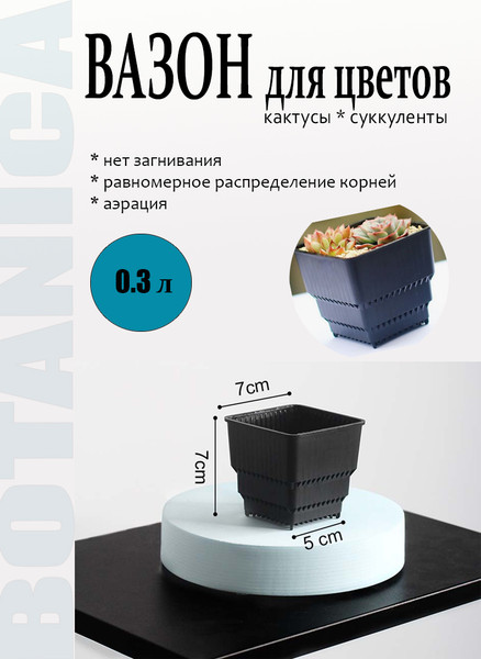 Изображение товара Кашпо BOTANICA Air для кактусов и суккулентов (7x7см, черный)