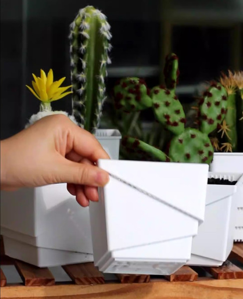 Изображение товара Кашпо BOTANICA Air для кактусов и суккулентов (7.35x6.5см, черный)