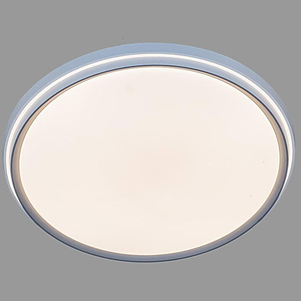 Изображение товара Потолочный светильник Aitin-Pro D5284 2х60Вт D500