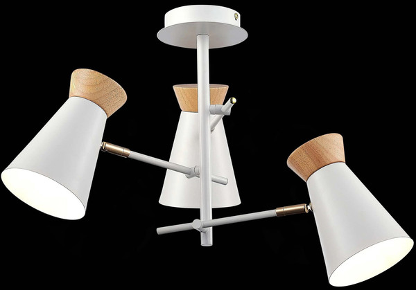 Изображение товара Потолочный светильник Evoluce SLE1252-502-03