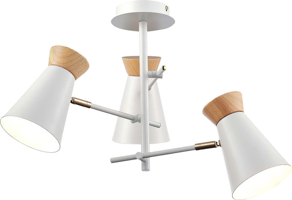 Изображение товара Потолочный светильник Evoluce SLE1252-502-03