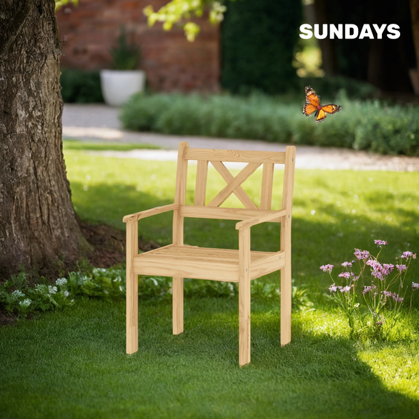 Изображение товара Кресло садовое Sundays Ф-183.02 590x90x640 (мед)
