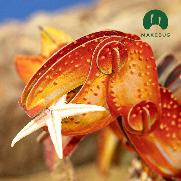 Изображение товара Конструктор Makebug Bring Nature Home Рак-отшельник MB-B-0008